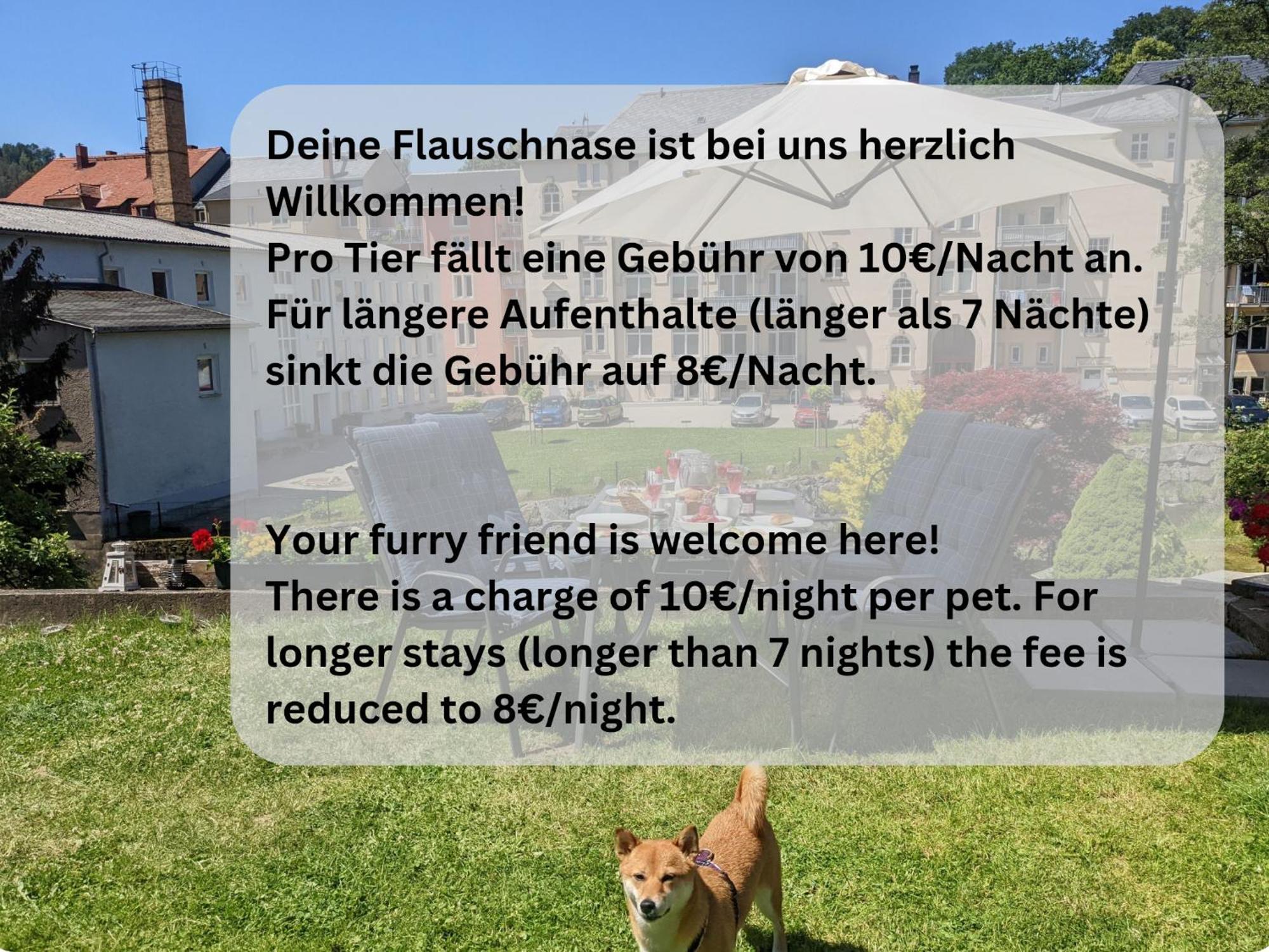 Zi1 - Urlaubsmagie - Erholung Mit Whirlpool & Sauna ゼーブニッツ エクステリア 写真